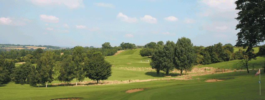 The Manor 15th green