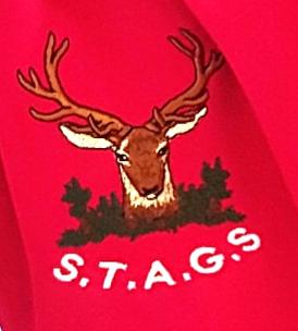 STAGS3
