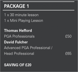 david fulcher PGA professional golfer lesson offer