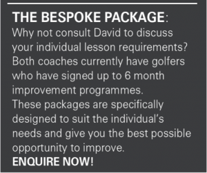 david fulcher PGA professional golfer lesson offer