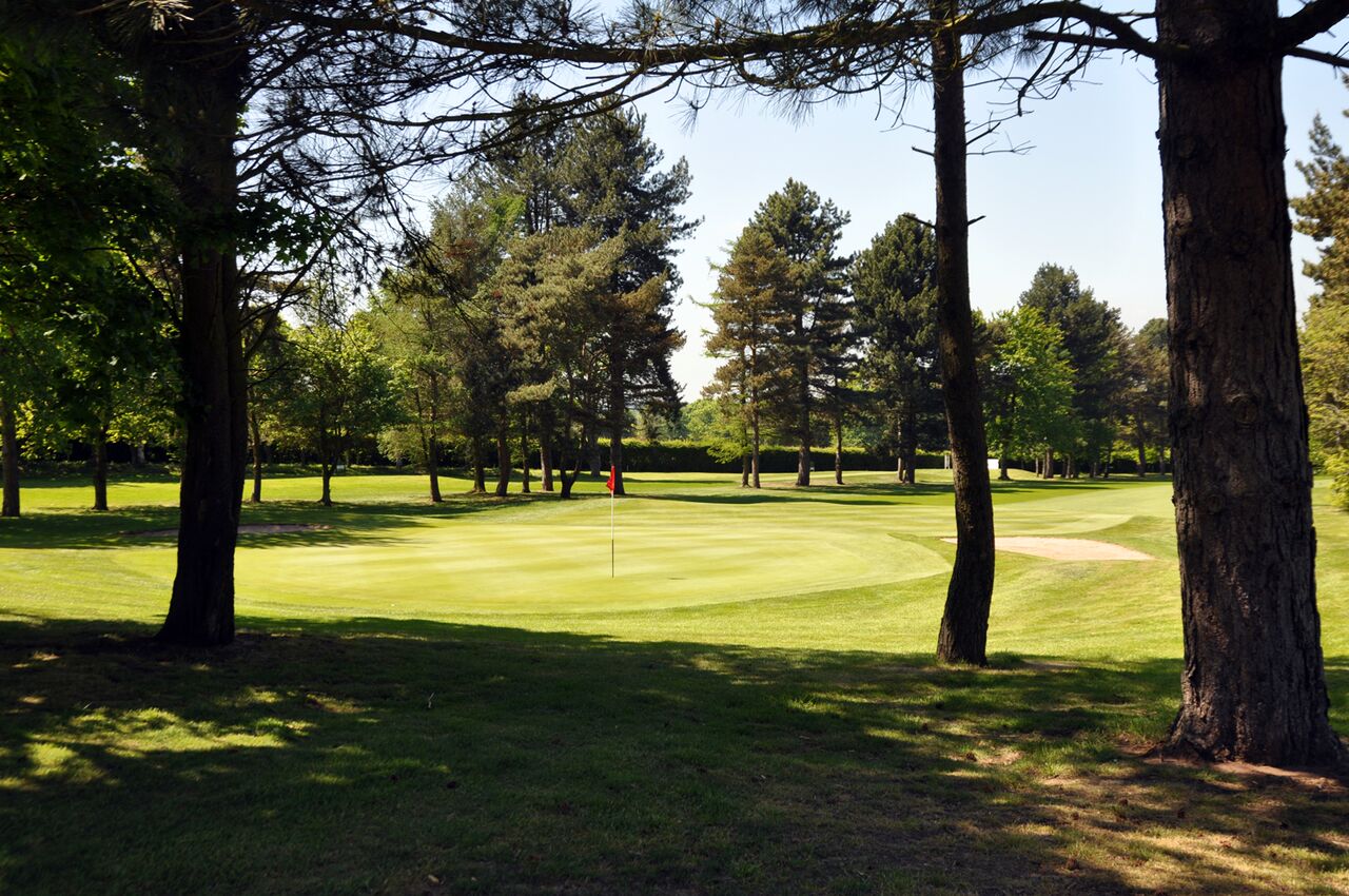 South Staffordshire Golf Club Trees