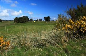 monifieth-golf-club-17th-hole