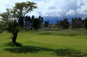 monifiethlinksgolf