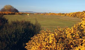 montrose-links_053319_full