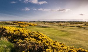 montrose-links_067406_full