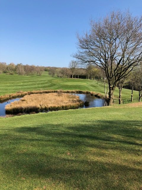 7th Hole