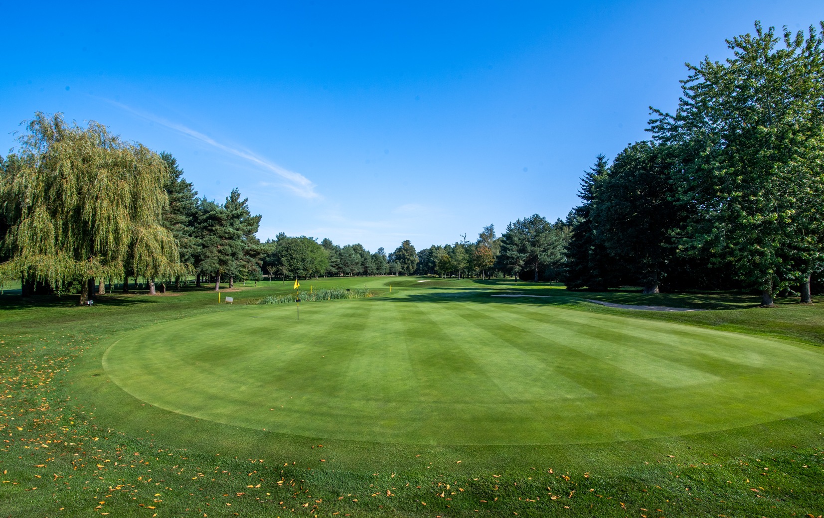 10th back of green