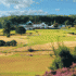 Hollinwell-4